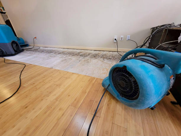 Reliable Basement Flood Cleanup contractor in Arlington, OH by Hirex Water Damage