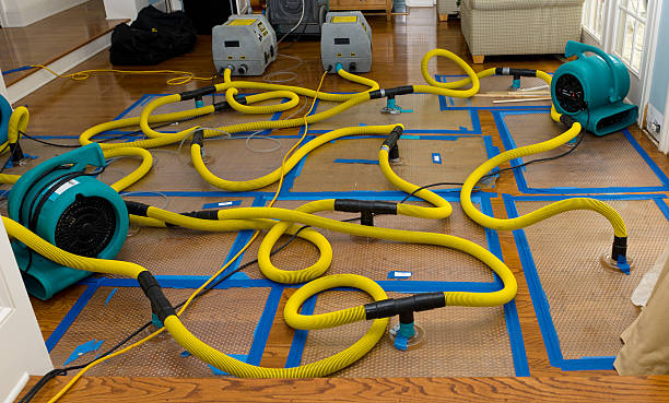 Professional Basement Flood Cleanup technician working in Arlington, OH